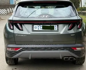 Hyundai Tucson Limited 2022 Silver