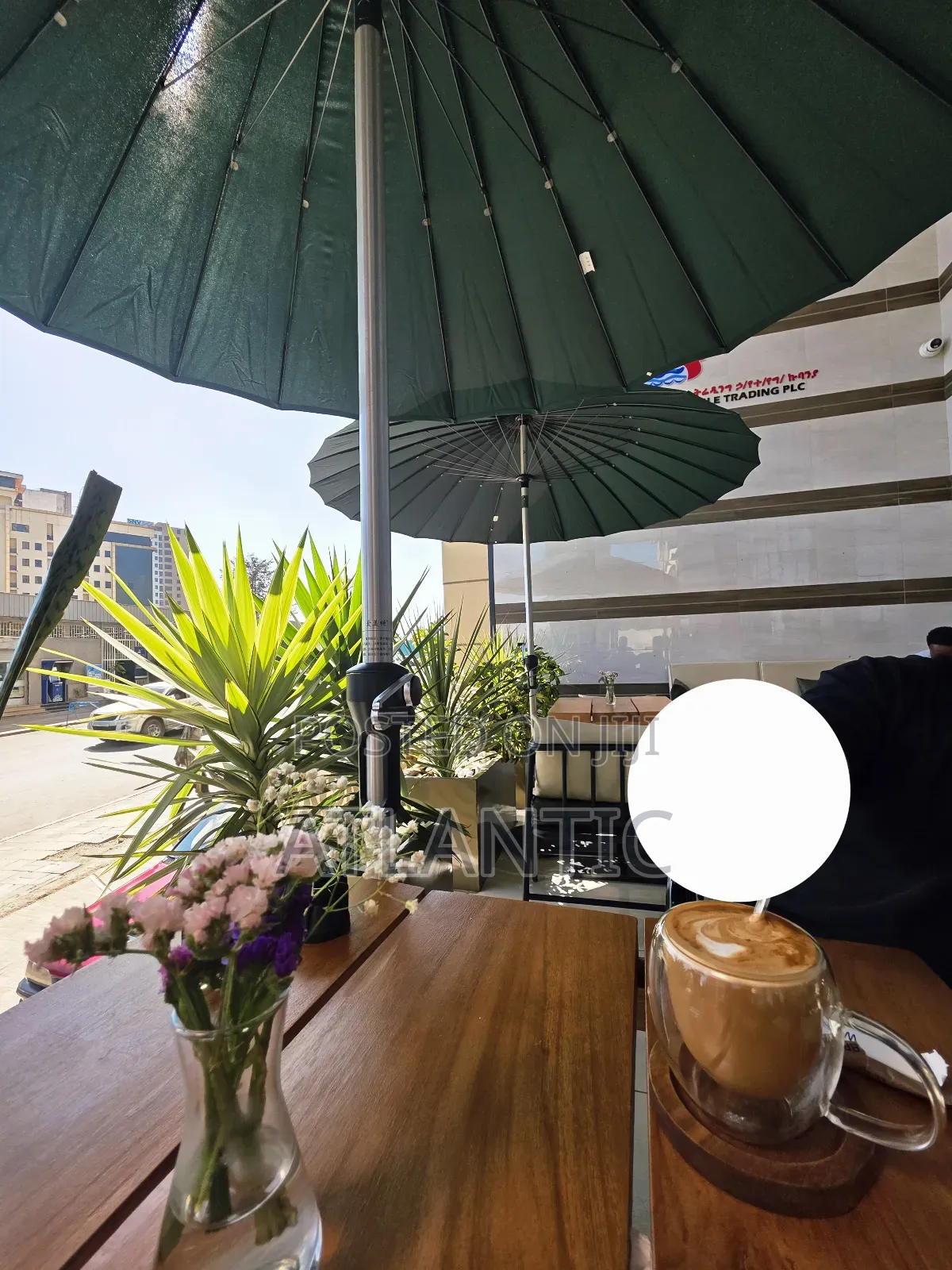 Garden Umbrella
