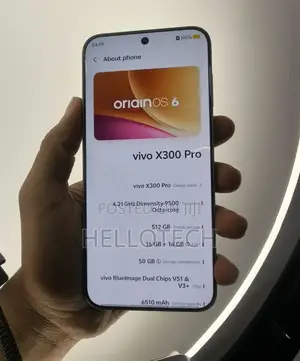 New Vivo X300 Pro 512 GB Silver