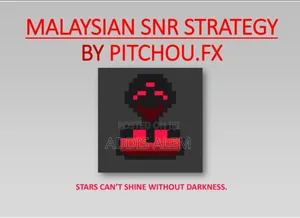 Malaysian Snr Strategy By Pitchou.Fx መጽሀፉ Softcopy ነው!