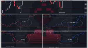 Malaysian Snr Strategy By Pitchou.Fx መጽሀፉ Softcopy ነው!