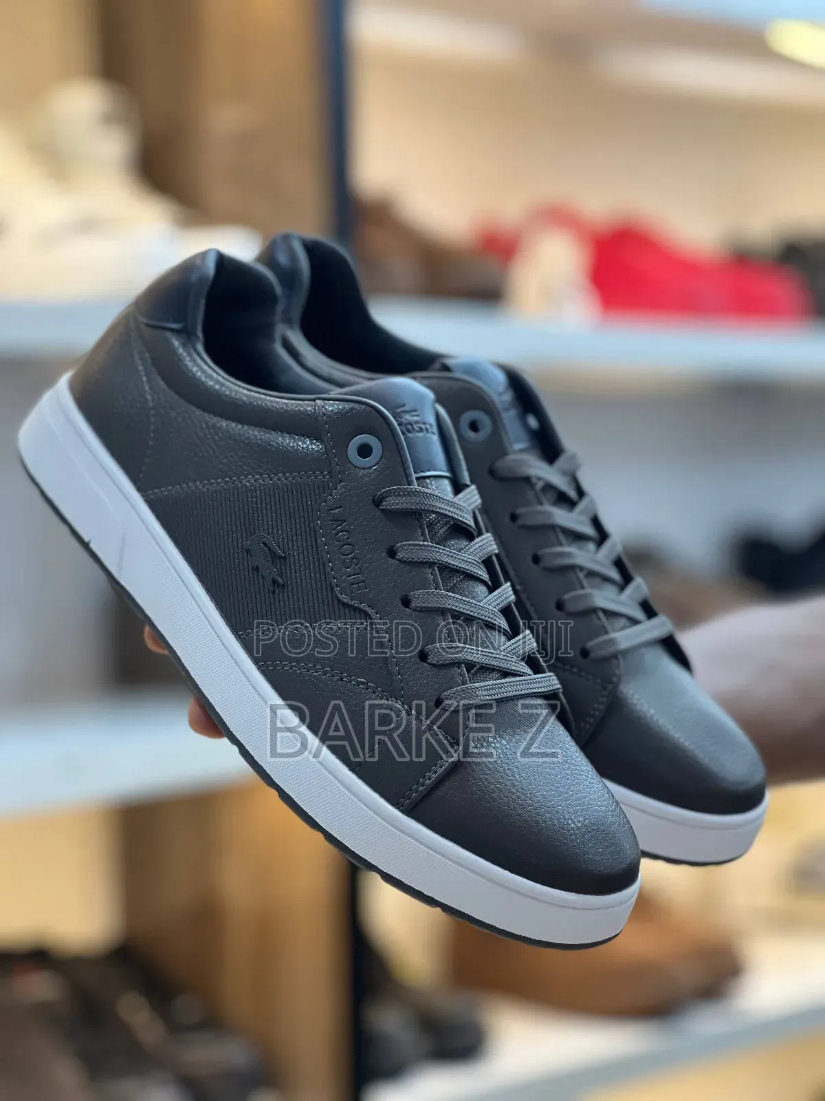 Lacoste Men Shoes
