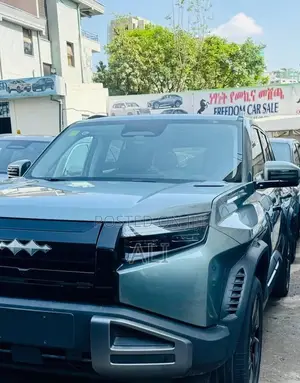 New BYD Leopard 3 2025 Gray