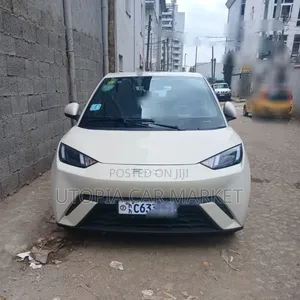 BYD Seagull 2025