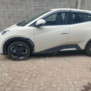 BYD Seagull 2025