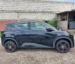 BYD Seagull 2024