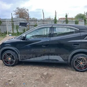 BYD Seagull 2024