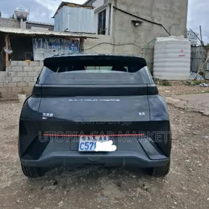 BYD Seagull 2024
