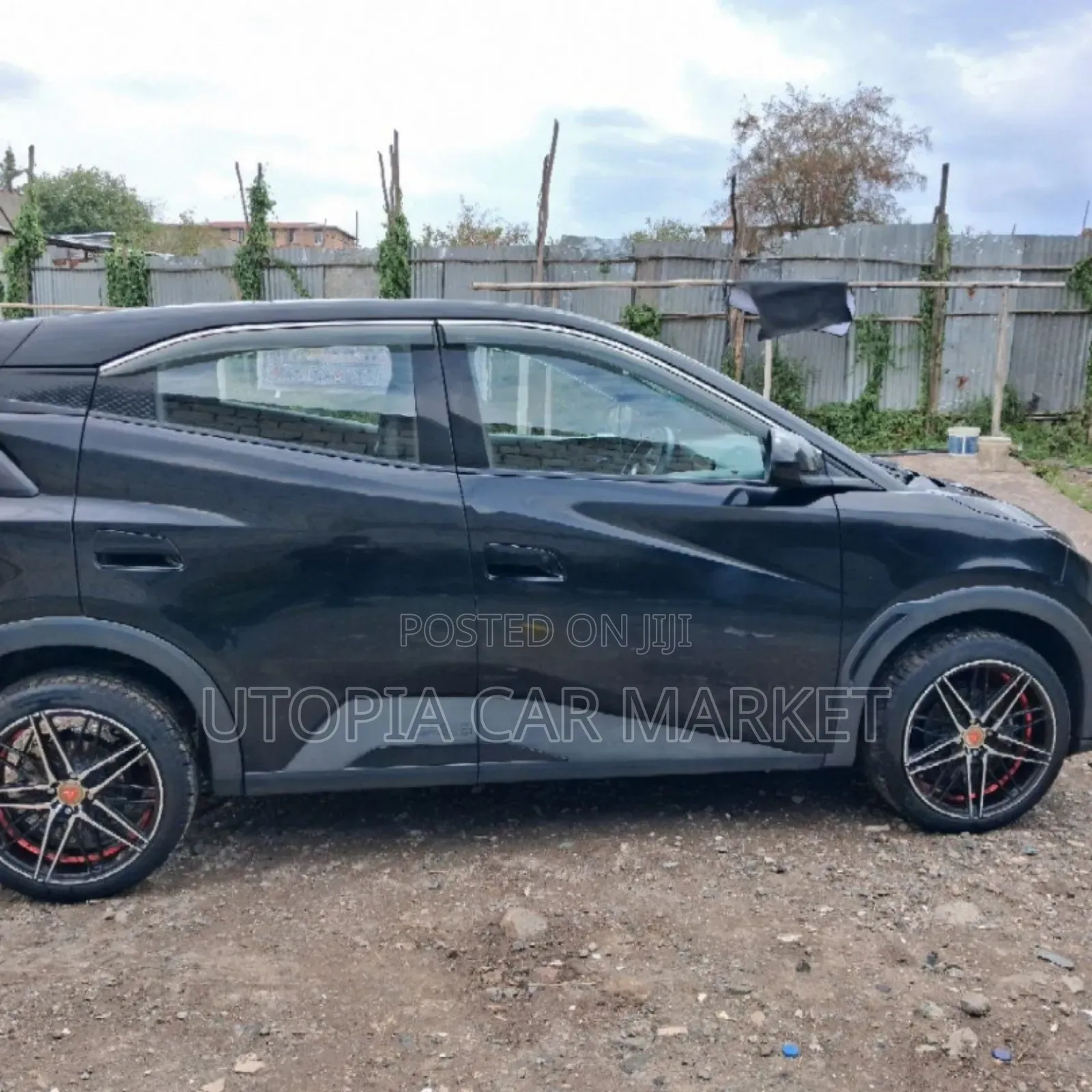 BYD Seagull 2024