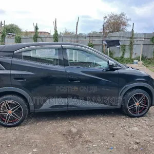 BYD Seagull 2024