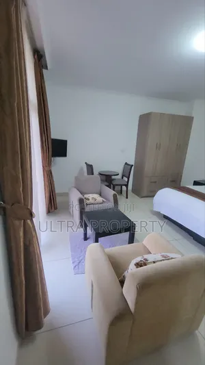 Furnished Studio Apartment in Bole for rent