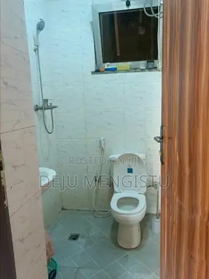 3bdrm Apartment in Sebhulut 72, Bole for sale