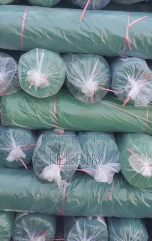 Building Covering Mesh