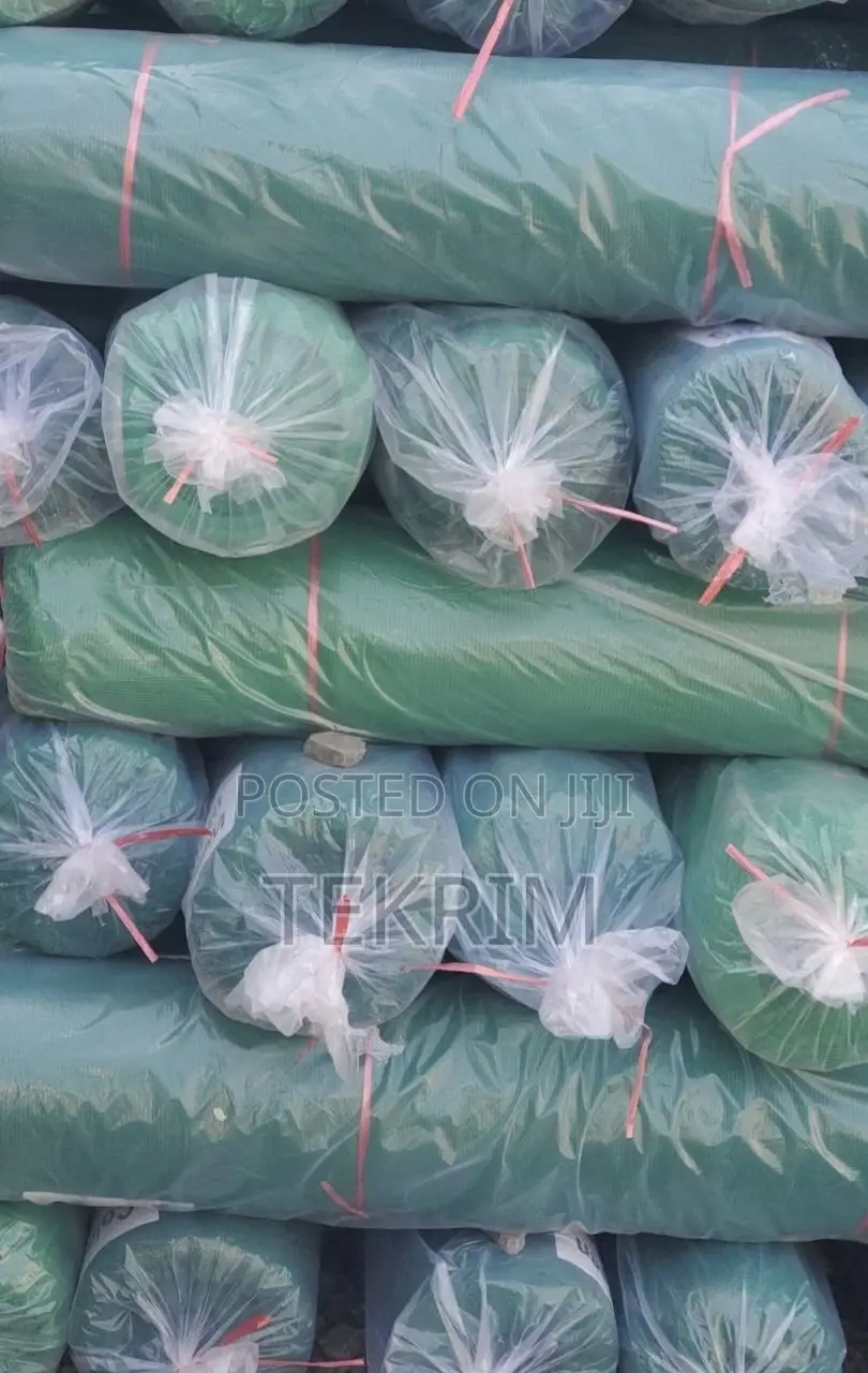 Building Covering Mesh