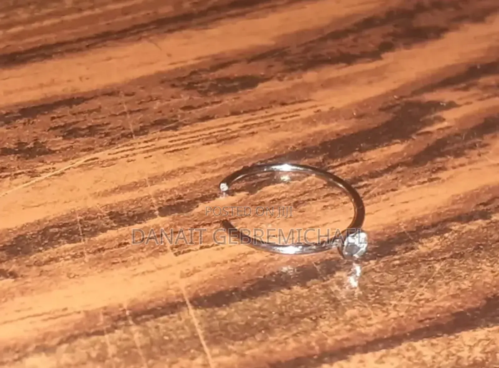 Fake Nose Ring
