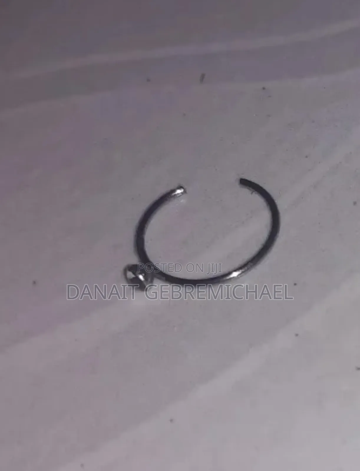 Fake Nose Ring