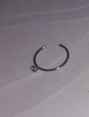 Fake Nose Ring