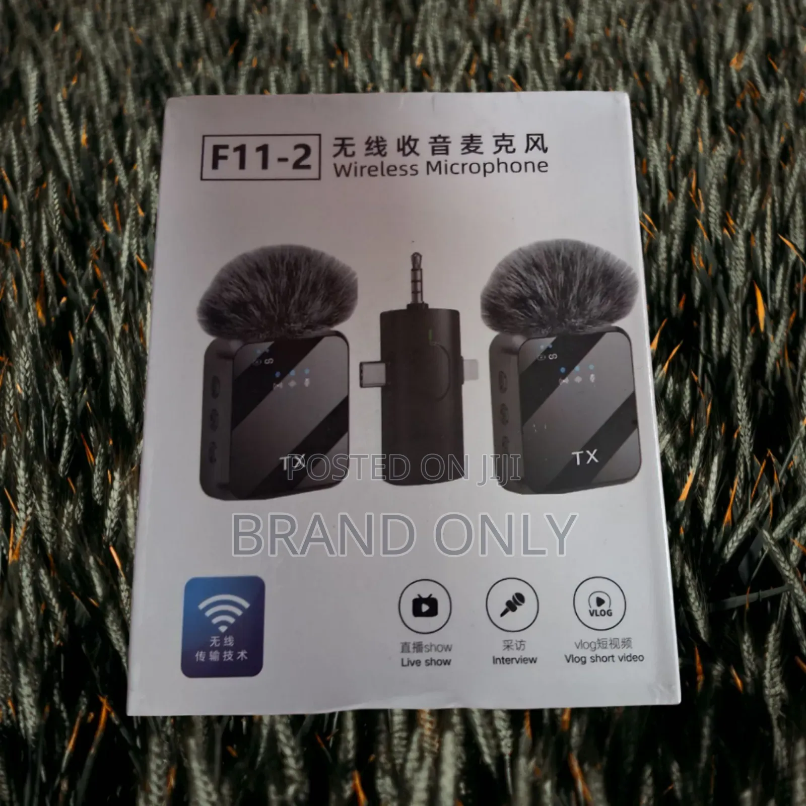 Professional Wireless Mic System F11-2