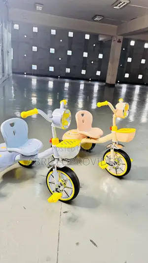 Bike for 2-6 Years Kids Tricycle Ride-on Pedal Bike for 2-6 Years