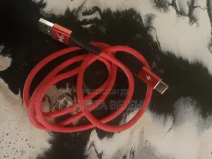 Type C Charger