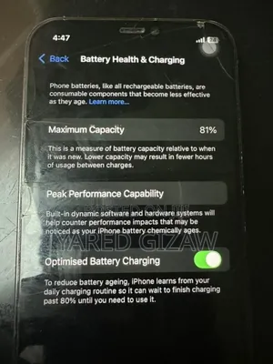 Apple iPhone 12 Pro 256 GB Silver