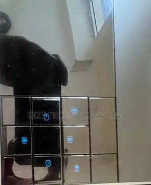 Cenema Projector