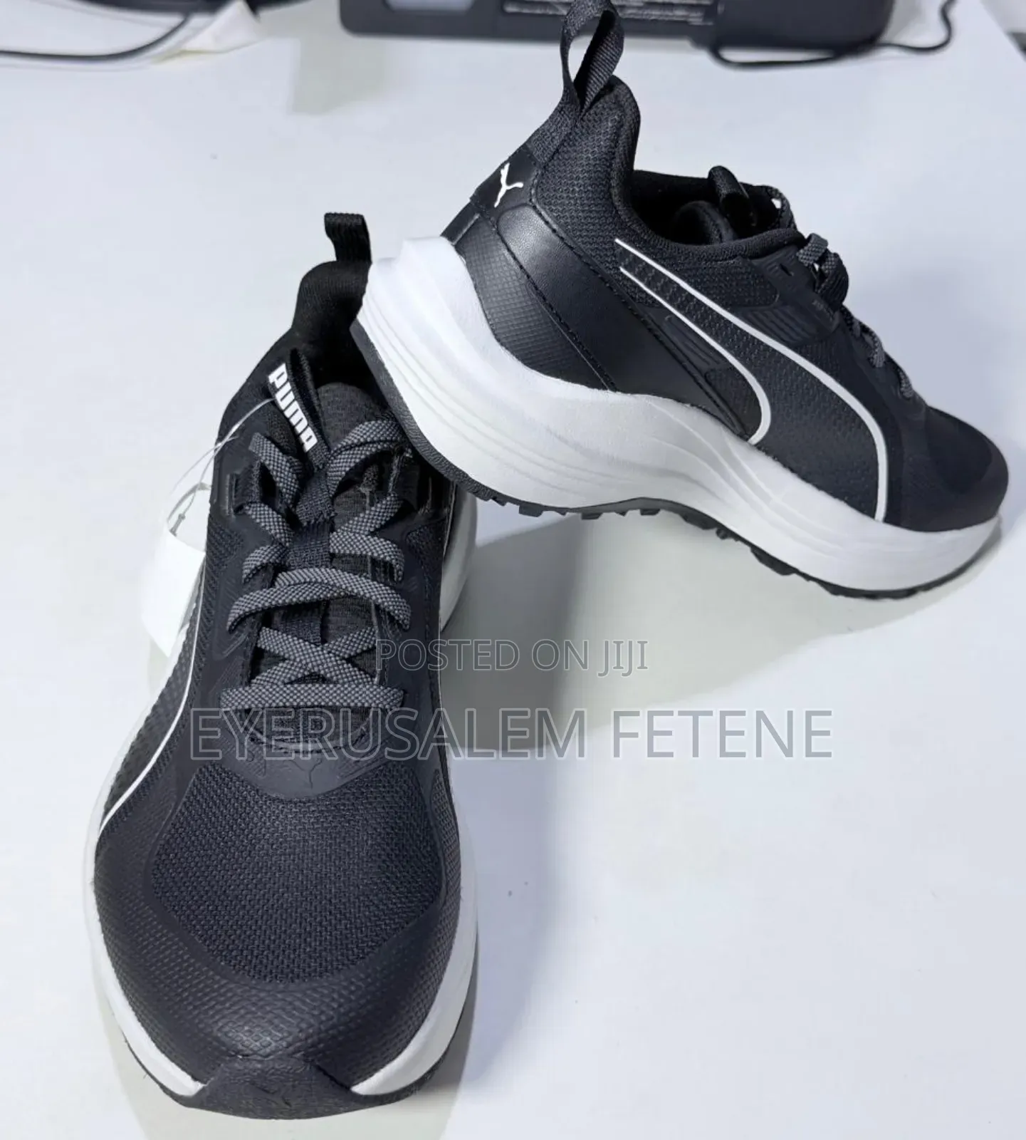 Lady Fashion