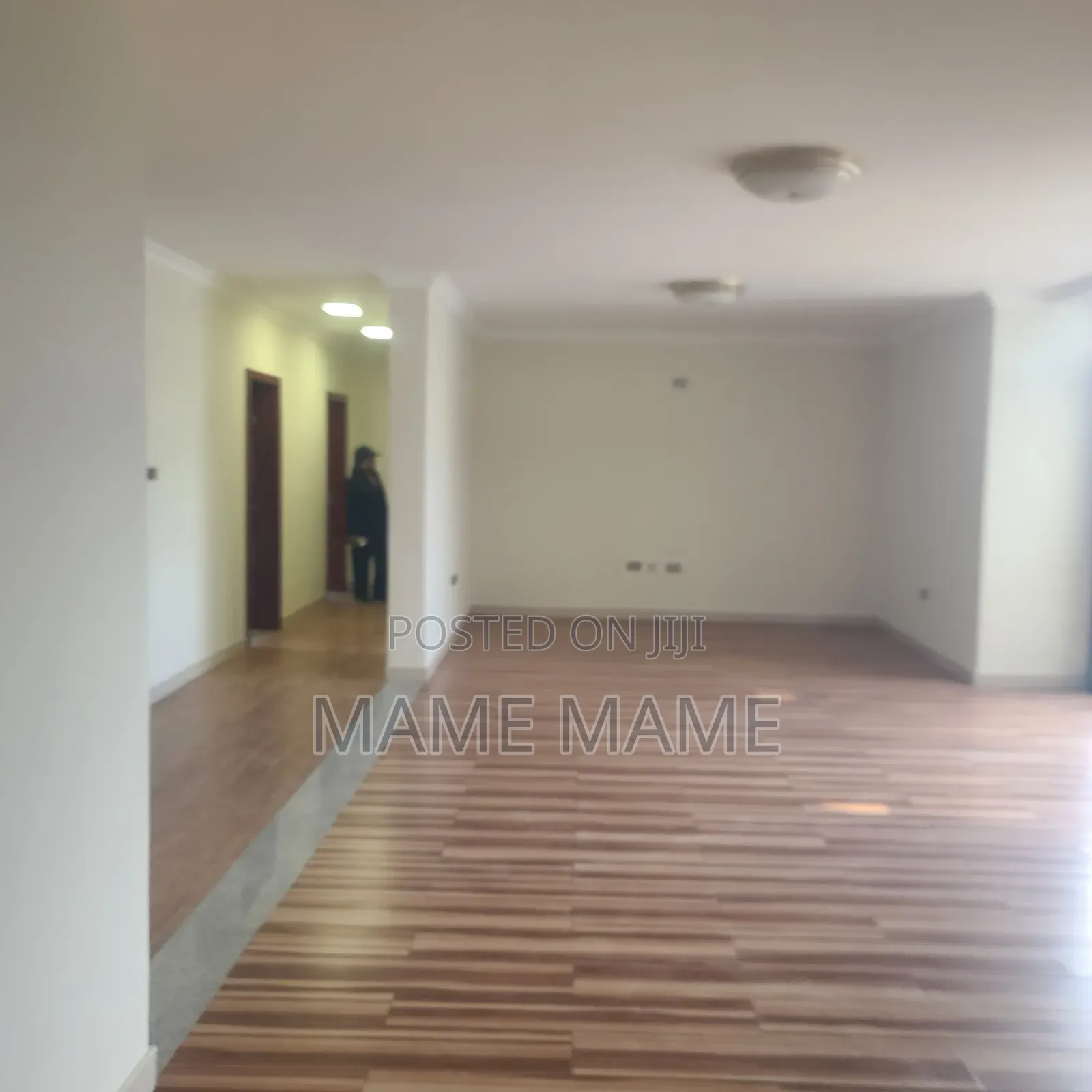 3bdrm Apartment in Addis Abeba, Bole for rent
