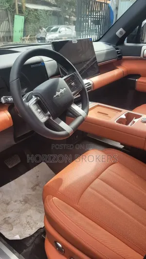 New BYD Leopard 7 2025 Black