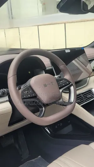 New BYD Song Plus 2025 Gray