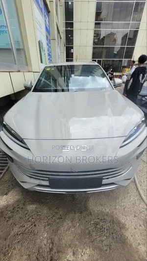 New BYD Song Plus 2025 Gray