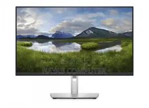 Dell 25 at Monitor
