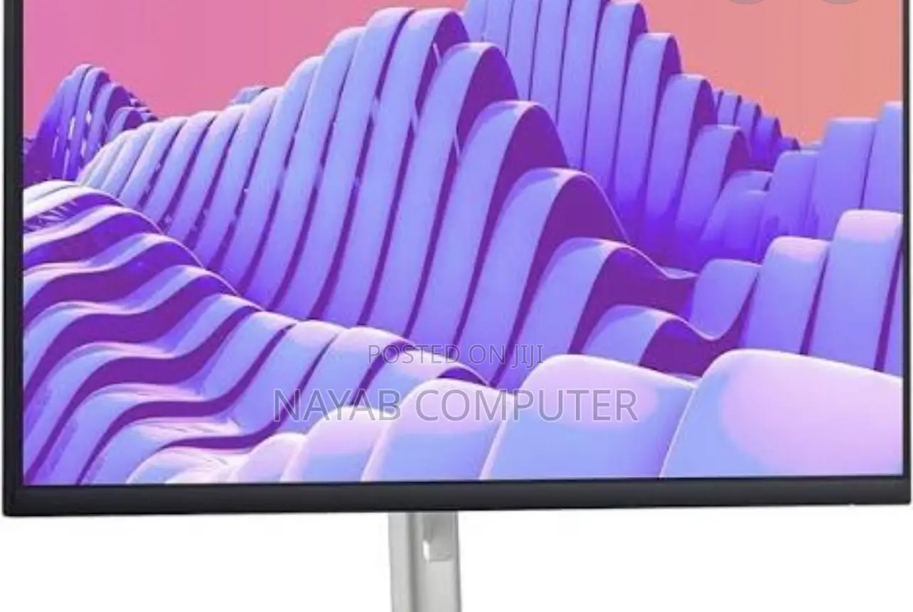 Dell 25 at Monitor