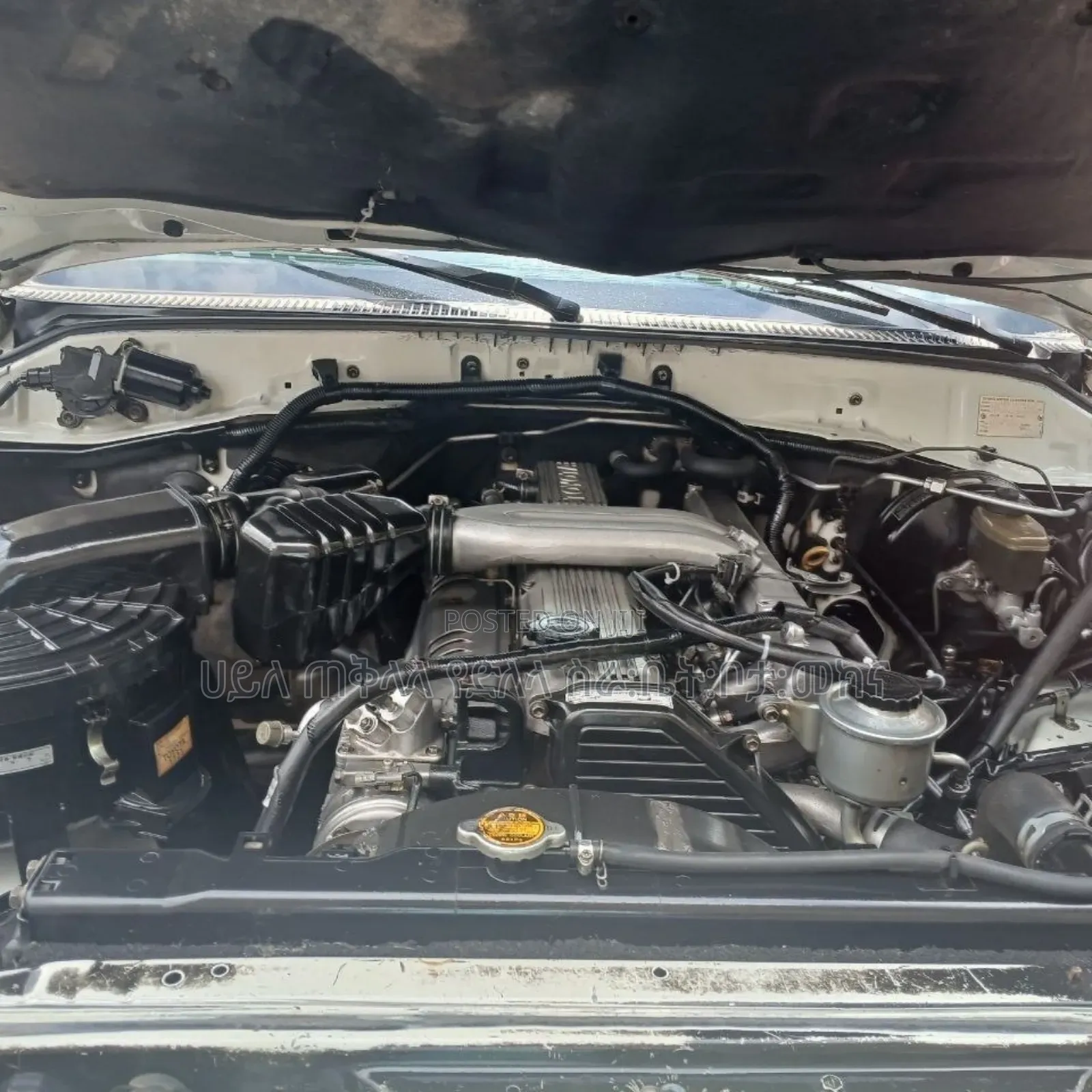 Toyota Land Cruiser 2004 Ivory