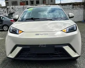 New BYD Seagull 2025 White