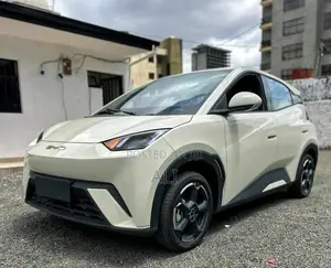 New BYD Seagull 2025 White
