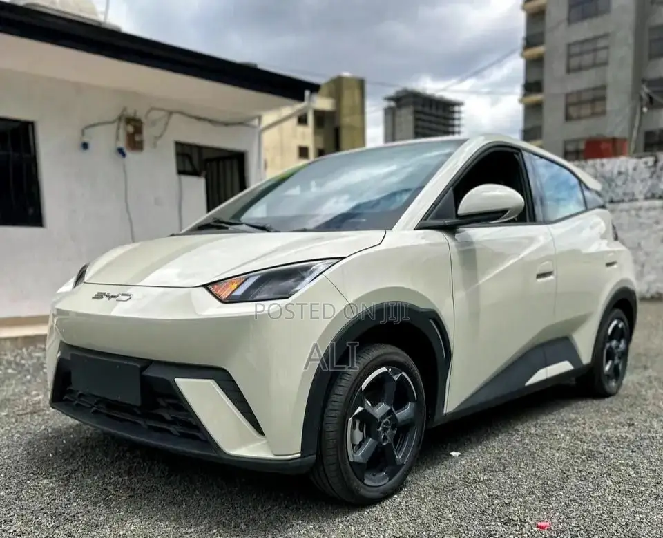 New BYD Seagull 2025 White