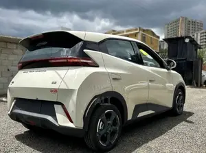New BYD Seagull 2025 White