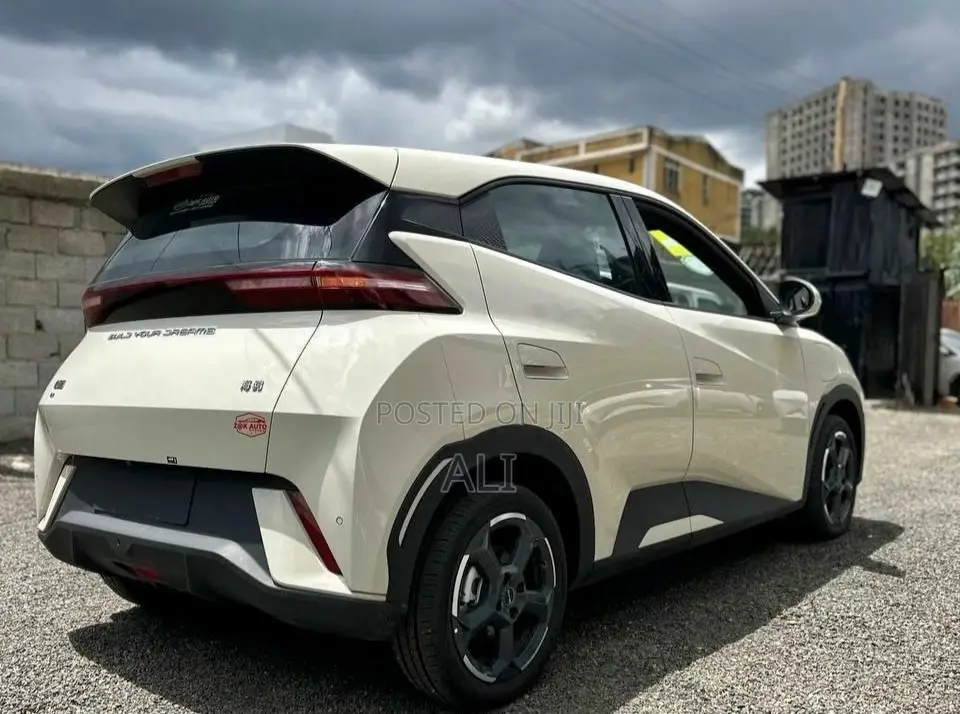 New BYD Seagull 2025 White