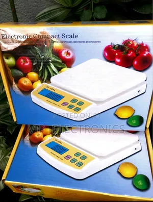 Electronic Compact Scale