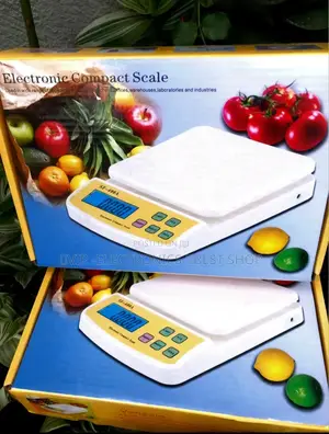 Electronic Compact Scale