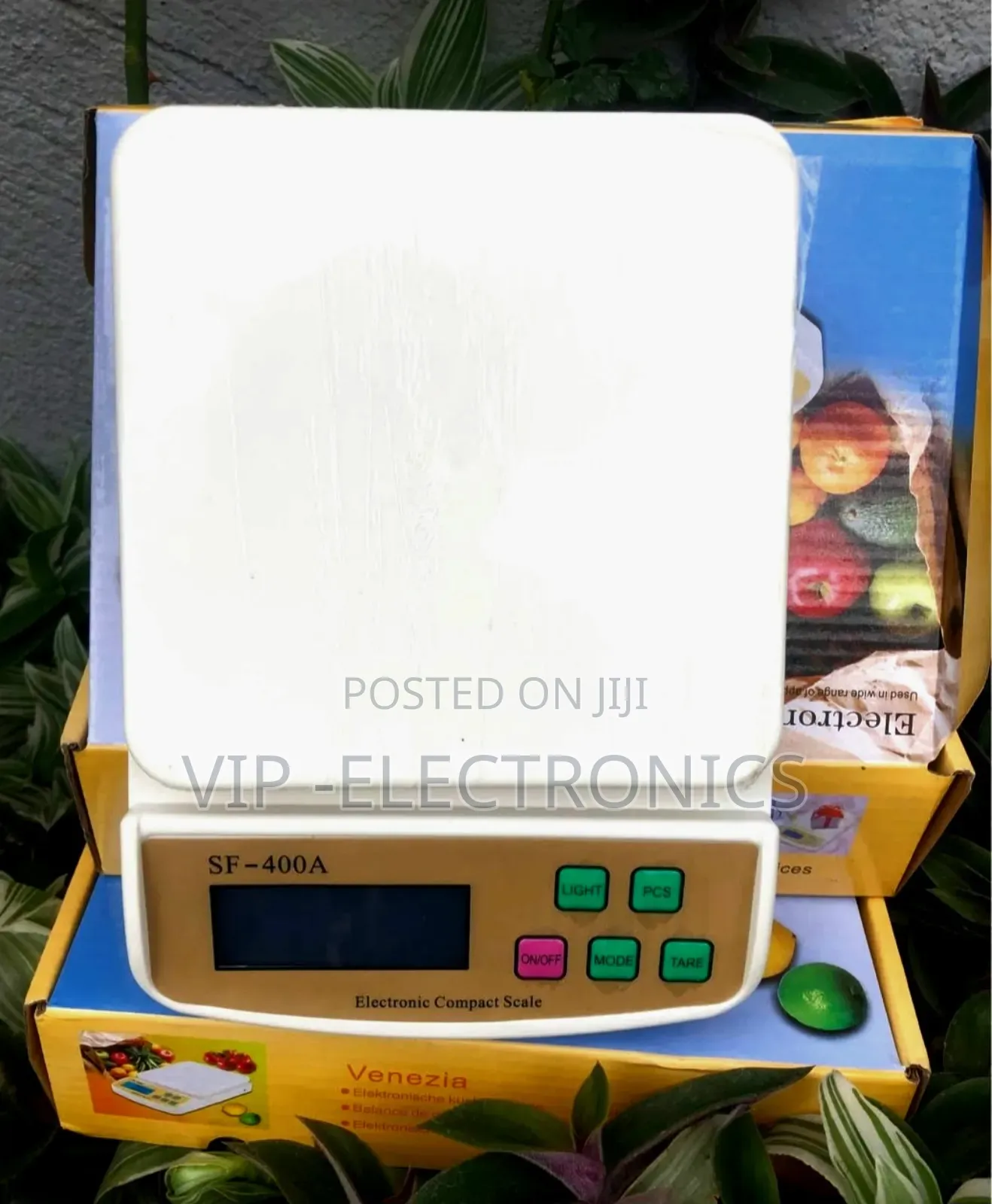 Electronic Compact Scale