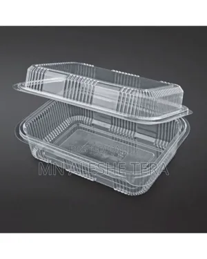 Plastic Takeaway Box