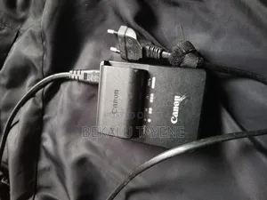 Canon Battery and Charger