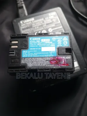 Canon Battery and Charger