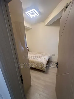 Furnished 2bdrm Apartment in የሚሸጥ አፓርታማ ብስራተ ገብሬል, Lideta for sale