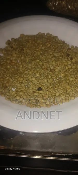 Best Quality Export Standard Coffee
