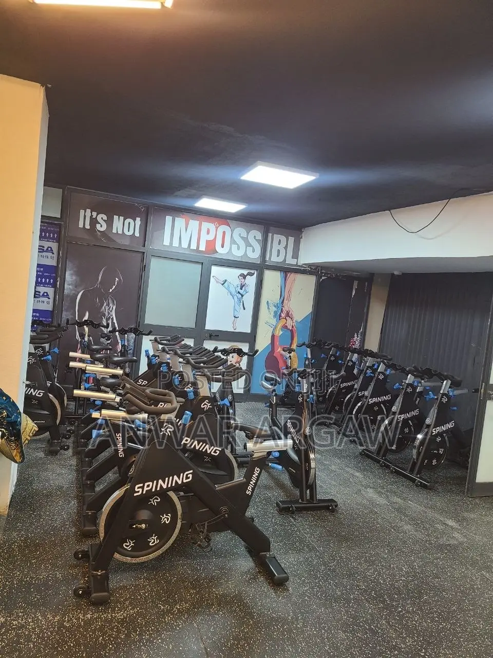 Spinning Bikes