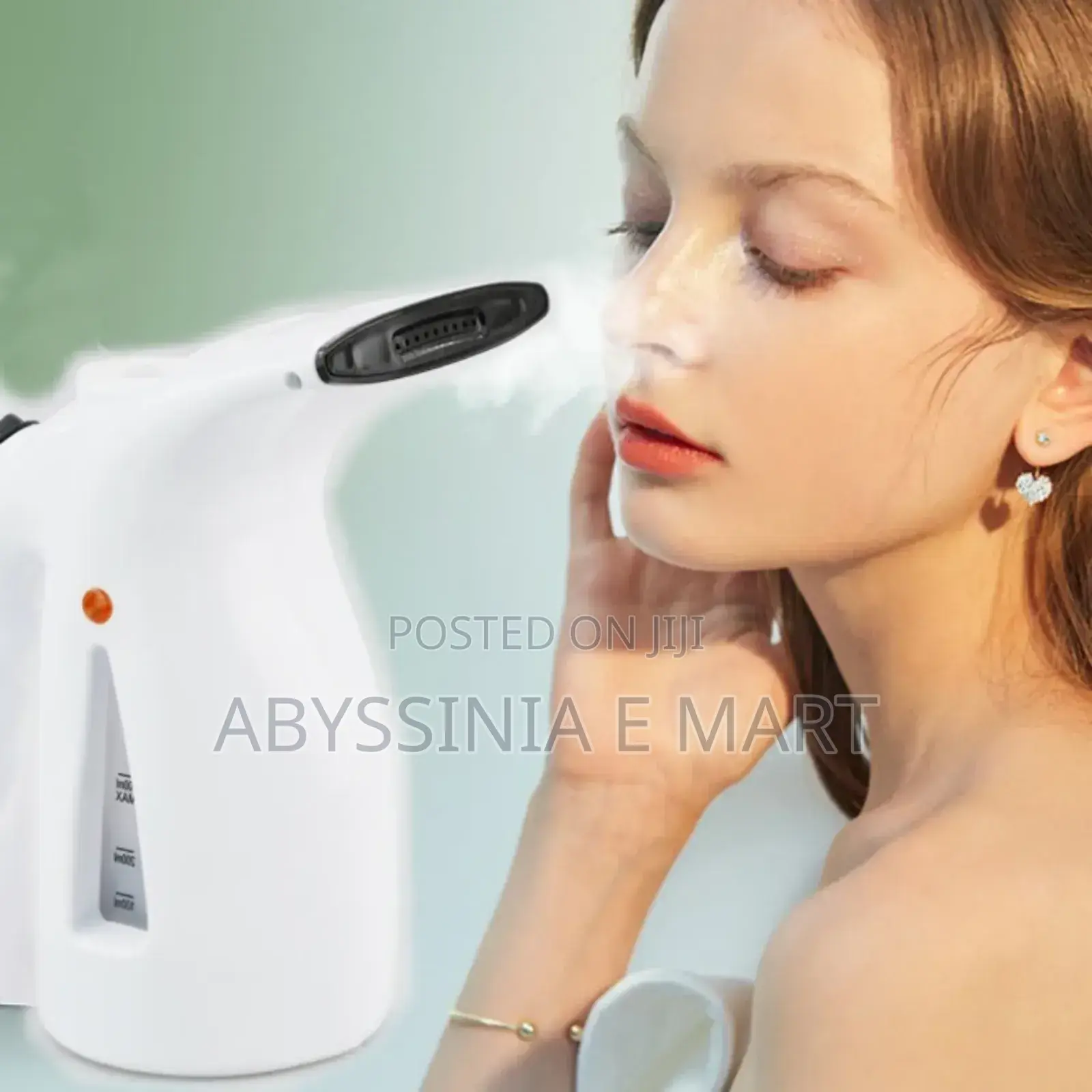 2in1 Facial Steamer Garment Steamer