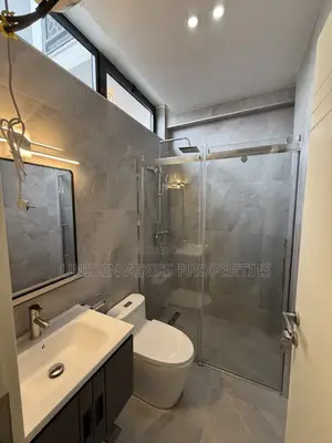 Furnished 2bdrm Apartment in Bole for sale